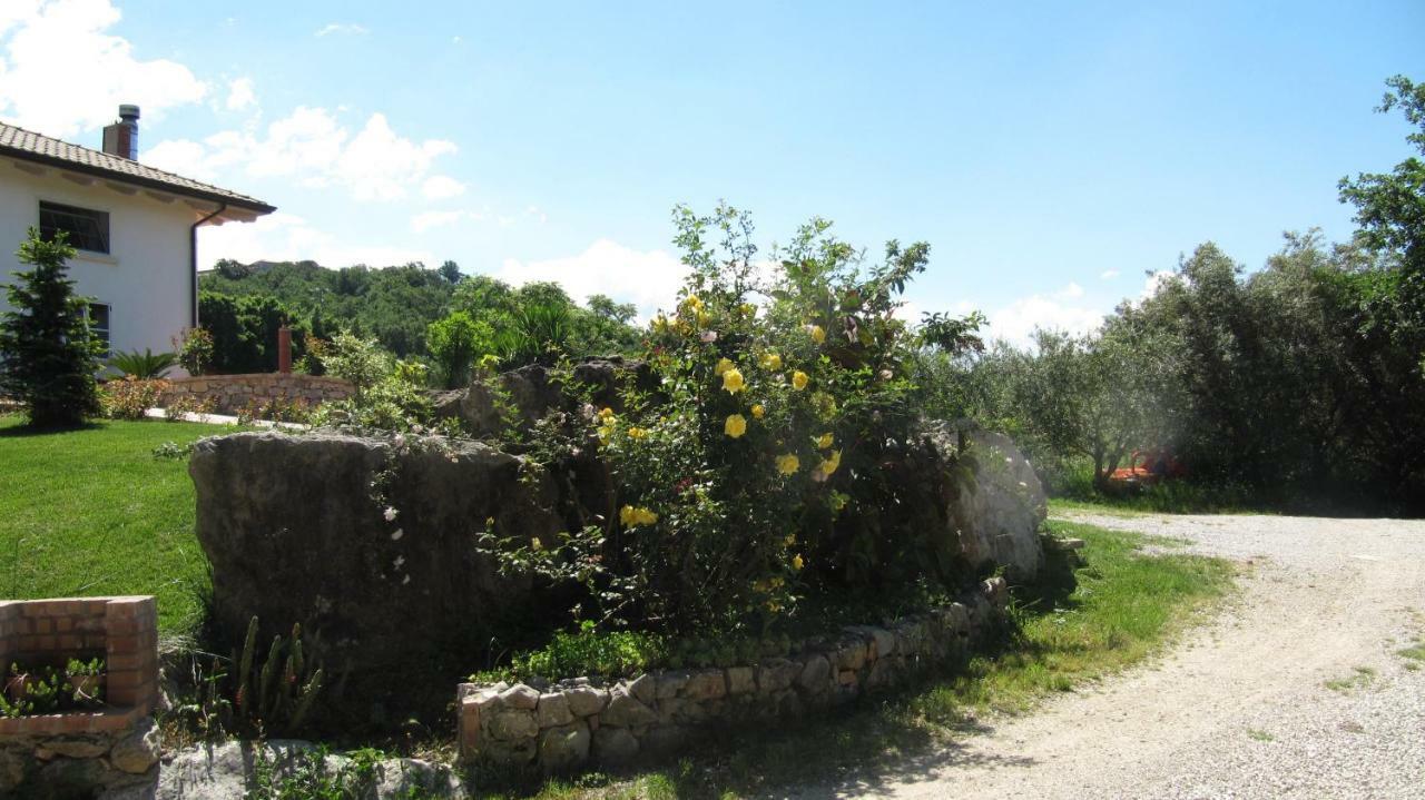 B&B Macchia D'Olmo Capaccio Exteriér fotografie