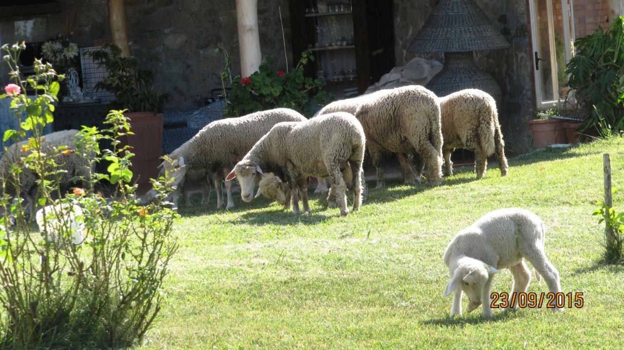 B&B Macchia D'Olmo Capaccio Exteriér fotografie